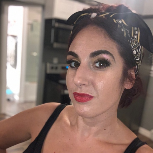 POSH AMBASSADOR II METRO TO MONTAUK - Picture 3 of 6